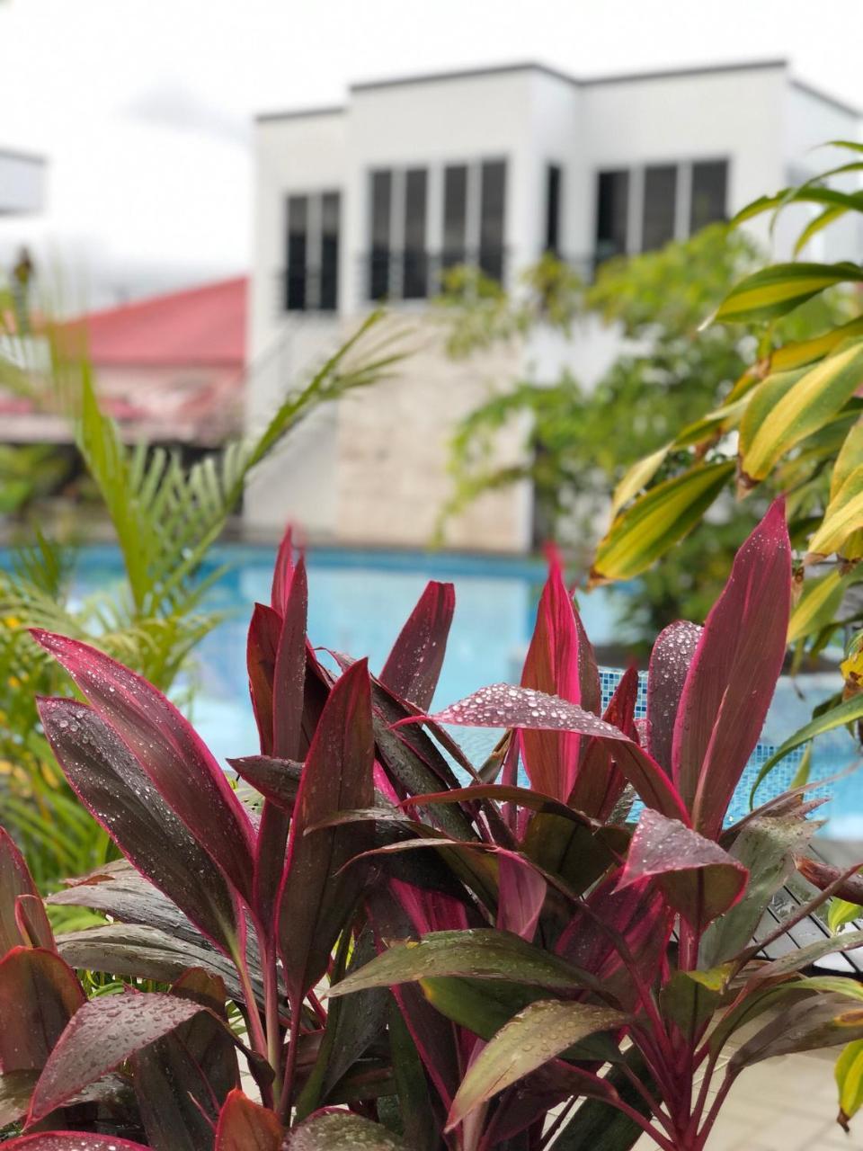 باراماريبو Tucan Resort & Spa المظهر الخارجي الصورة